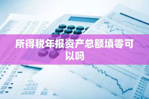 所得税年报资产总额填零可以吗