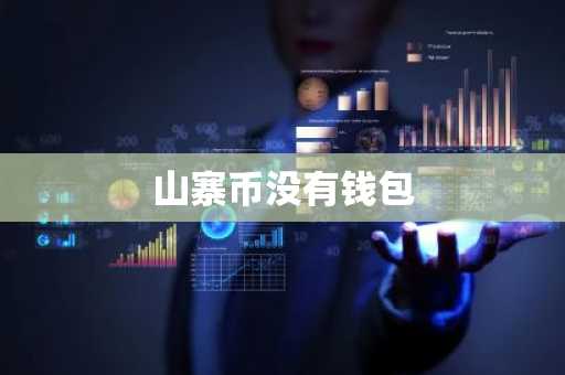 山寨币没有钱包