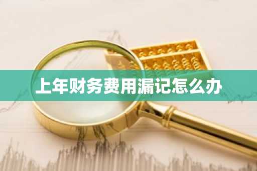 上年财务费用漏记怎么办