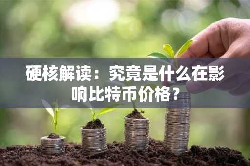 硬核解读：究竟是什么在影响比特币价格？