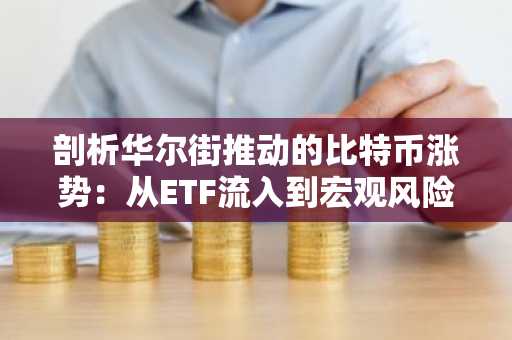 剖析华尔街推动的比特币涨势：从ETF流入到宏观风险