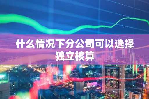 什么情况下分公司可以选择独立核算
