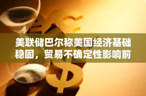 美联储巴尔称美国经济基础稳固，贸易不确定性影响前景