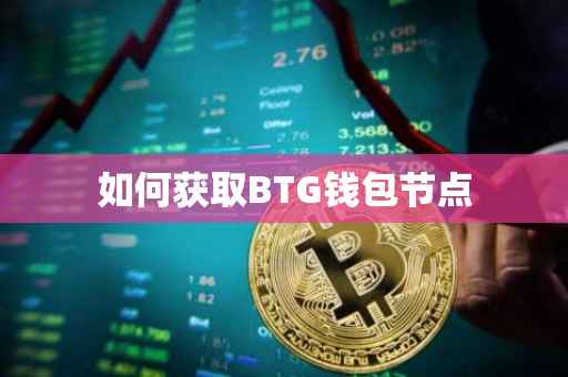 如何获取BTG钱包节点