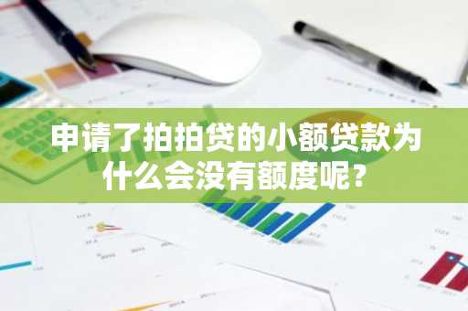申请了拍拍贷的小额贷款为什么会没有额度呢？