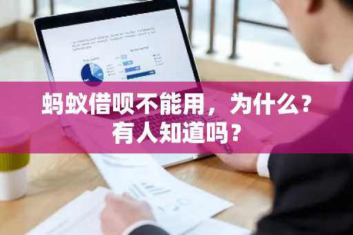 蚂蚁借呗不能用，为什么？有人知道吗？