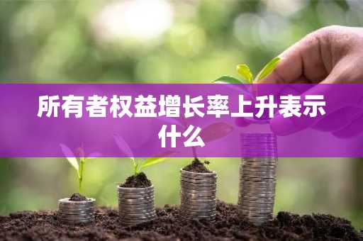 所有者权益增长率上升表示什么