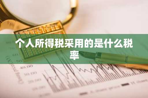 个人所得税采用的是什么税率