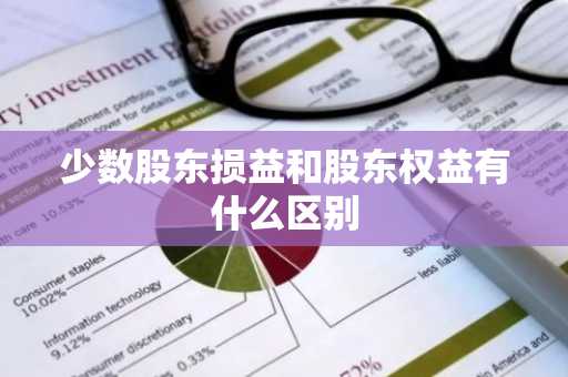 少数股东损益和股东权益有什么区别