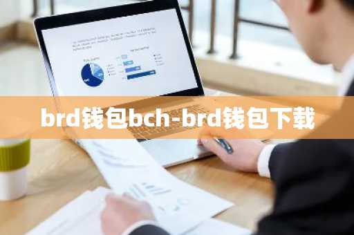 brd钱包bch-brd钱包下载
