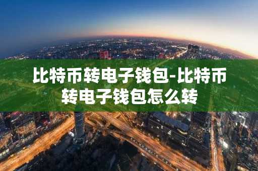 比特币转电子钱包-比特币转电子钱包怎么转