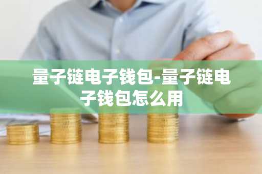 量子链电子钱包-量子链电子钱包怎么用