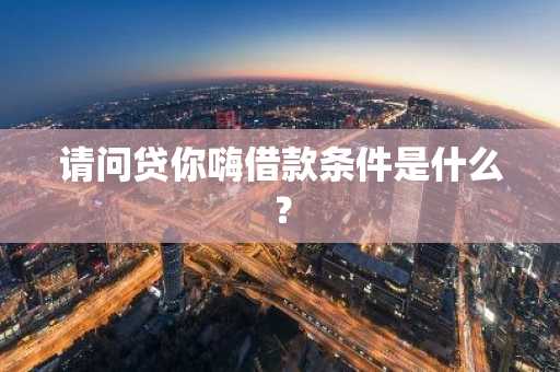 请问贷你嗨借款条件是什么？