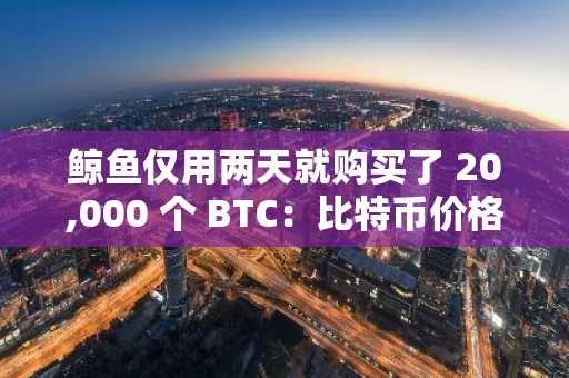 鲸鱼仅用两天就购买了 20,000 个 BTC：比特币价格将如何反应？