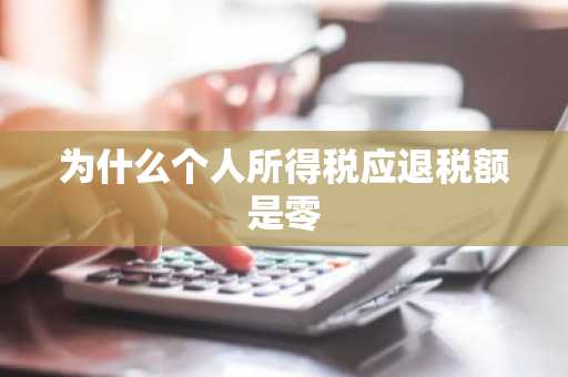 为什么个人所得税应退税额是零