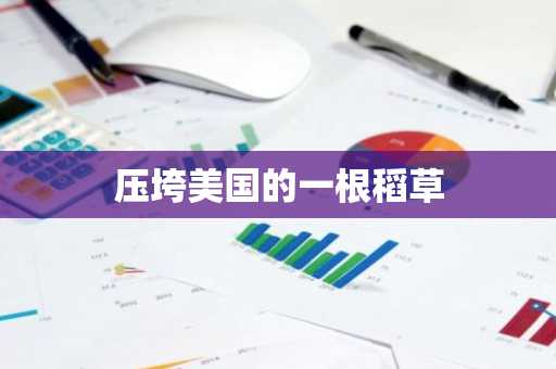 压垮美国的一根稻草