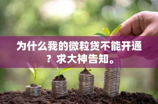 为什么我的微粒贷不能开通？求大神告知。