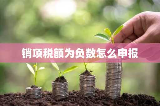 销项税额为负数怎么申报