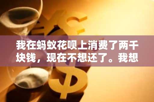 我在蚂蚁花呗上消费了两千块钱，现在不想还了。我想知道不还钱会有什么后果？