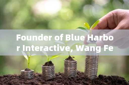 Founder of Blue Harbor Interactive, Wang Feng, claimed that he suggested the company purchase Bitcoi