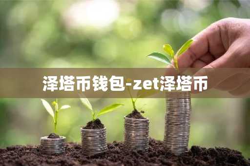 泽塔币钱包-zet泽塔币