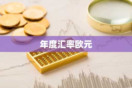 年度汇率欧元
