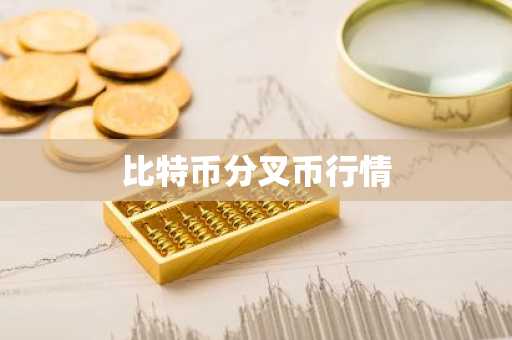 比特币分叉币行情