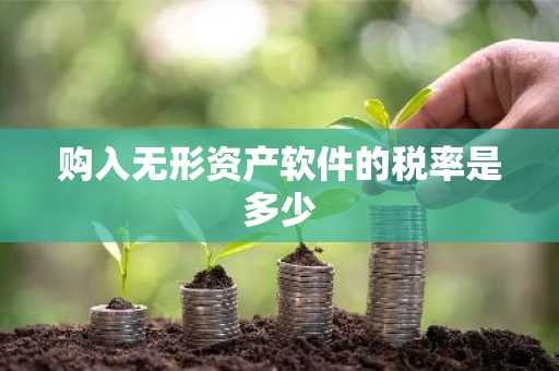 购入无形资产软件的税率是多少