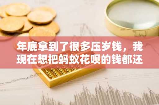 年底拿到了很多压岁钱，我现在想把蚂蚁花呗的钱都还完可以么？