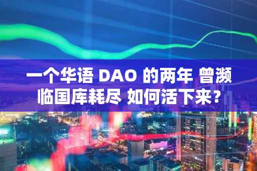 一个华语 DAO 的两年 曾濒临国库耗尽 如何活下来？