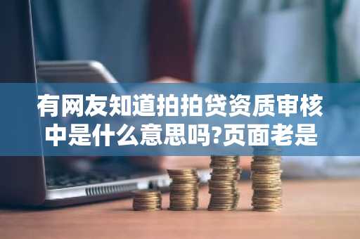 有网友知道拍拍贷资质审核中是什么意思吗?页面老是显示资质审核中很烦。