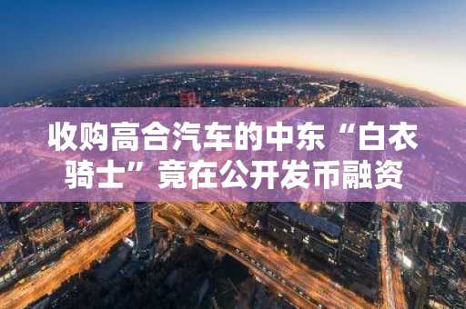 收购高合汽车的中东“白衣骑士”竟在公开发币融资
