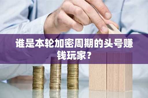谁是本轮加密周期的头号赚钱玩家？