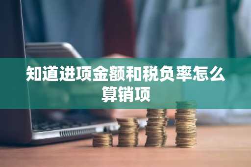 知道进项金额和税负率怎么算销项
