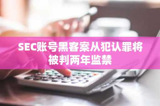 SEC账号黑客案从犯认罪将被判两年监禁