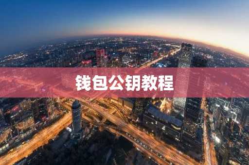 钱包公钥教程
