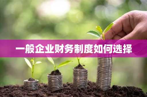 一般企业财务制度如何选择