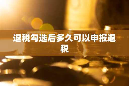 退税勾选后多久可以申报退税