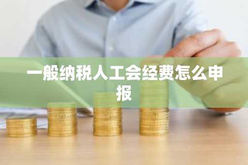 一般纳税人工会经费怎么申报