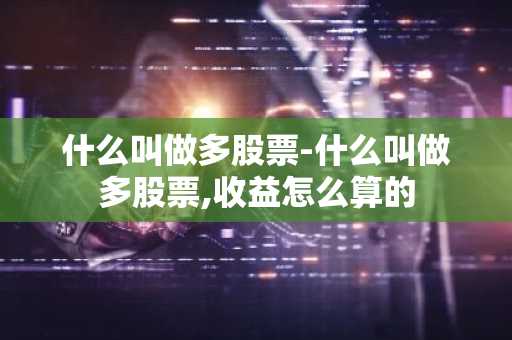 什么叫做多股票-什么叫做多股票,收益怎么算的