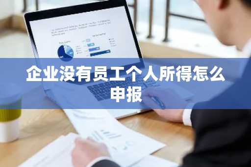 企业没有员工个人所得怎么申报