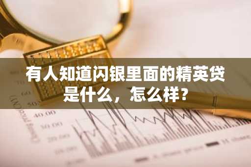 有人知道闪银里面的精英贷是什么，怎么样？