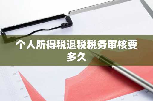 个人所得税退税税务审核要多久