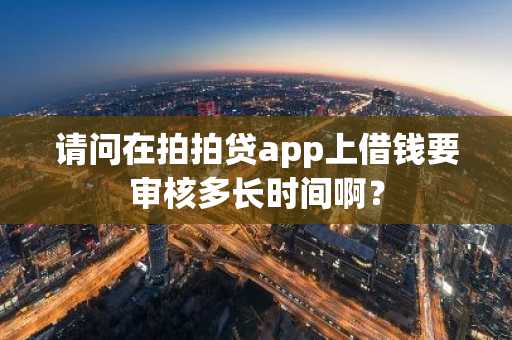 请问在拍拍贷app上借钱要审核多长时间啊？