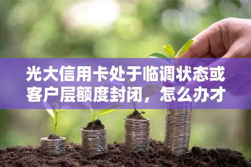 光大信用卡处于临调状态或客户层额度封闭，怎么办才能恢复？