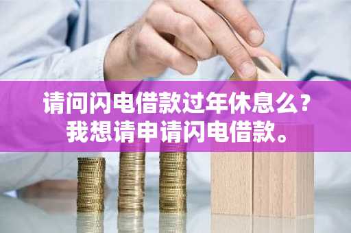 请问闪电借款过年休息么？我想请申请闪电借款。