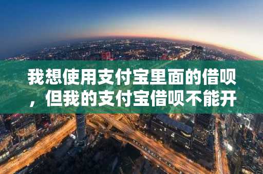 我想使用支付宝里面的借呗，但我的支付宝借呗不能开通怎么办？