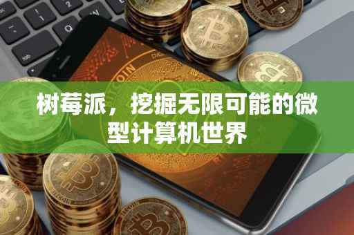 树莓派，挖掘无限可能的微型计算机世界