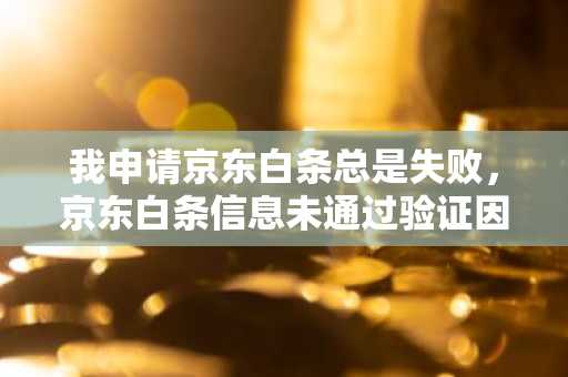 我申请京东白条总是失败，京东白条信息未通过验证因为什么？