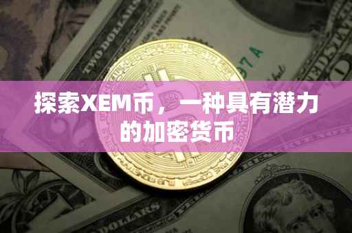 探索XEM币，一种具有潜力的加密货币